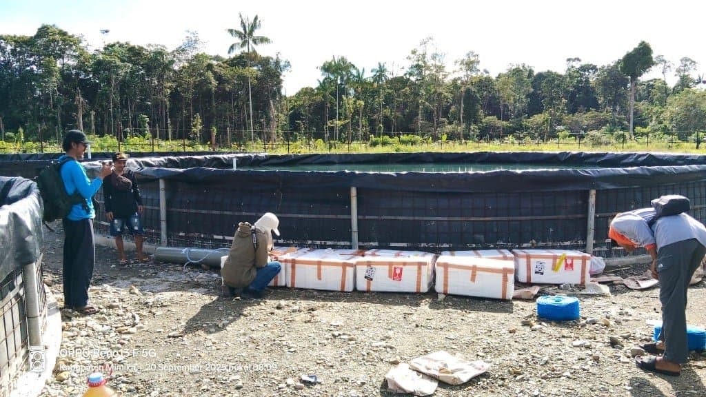 MIMIKA · Materials and coordination on site with local people