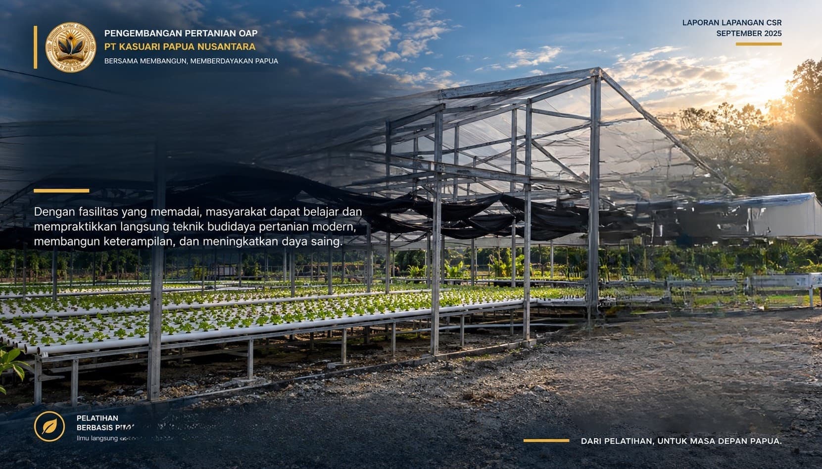 Organised hydroponic channels used as a live training ground.